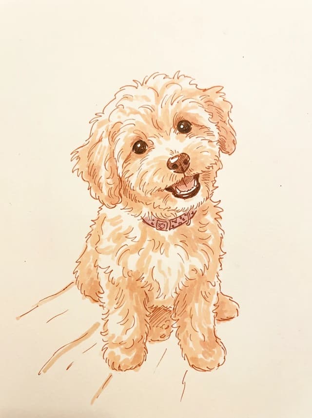 새벽 작가의 다이어리 펜 스케치 강아지 그림 예시